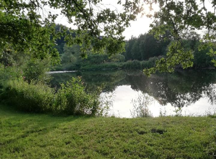 Schulzis Ferienwohnung Windeck Luaran gambar